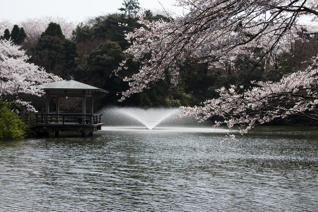 Maidohaya Fukutatei Villa Takaoka Bagian luar foto